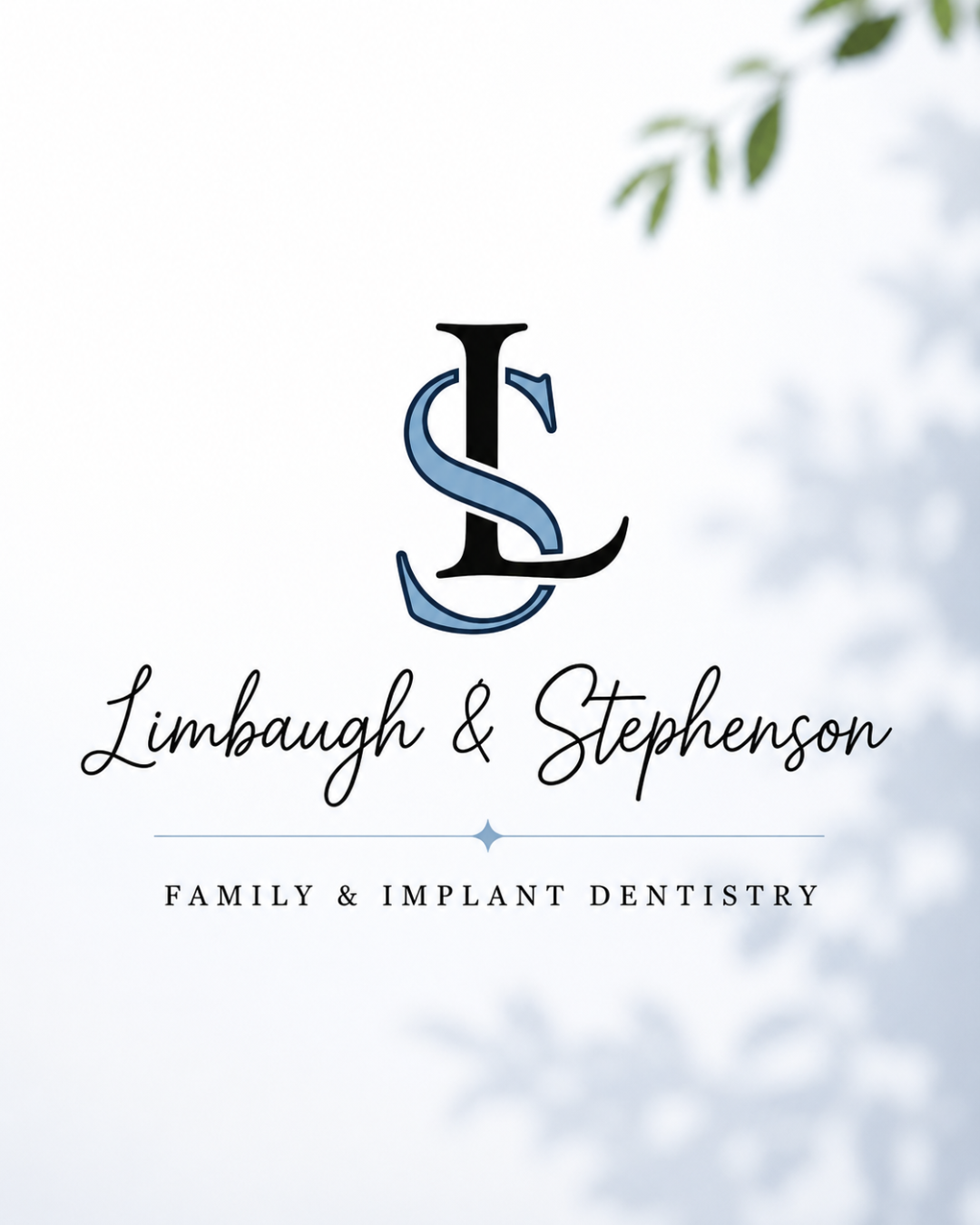 Limbaugh & Stephenson