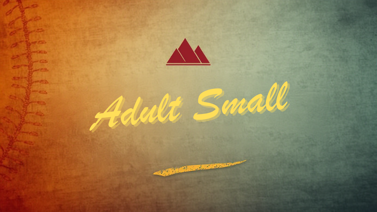 Adult Small Baseball Designs