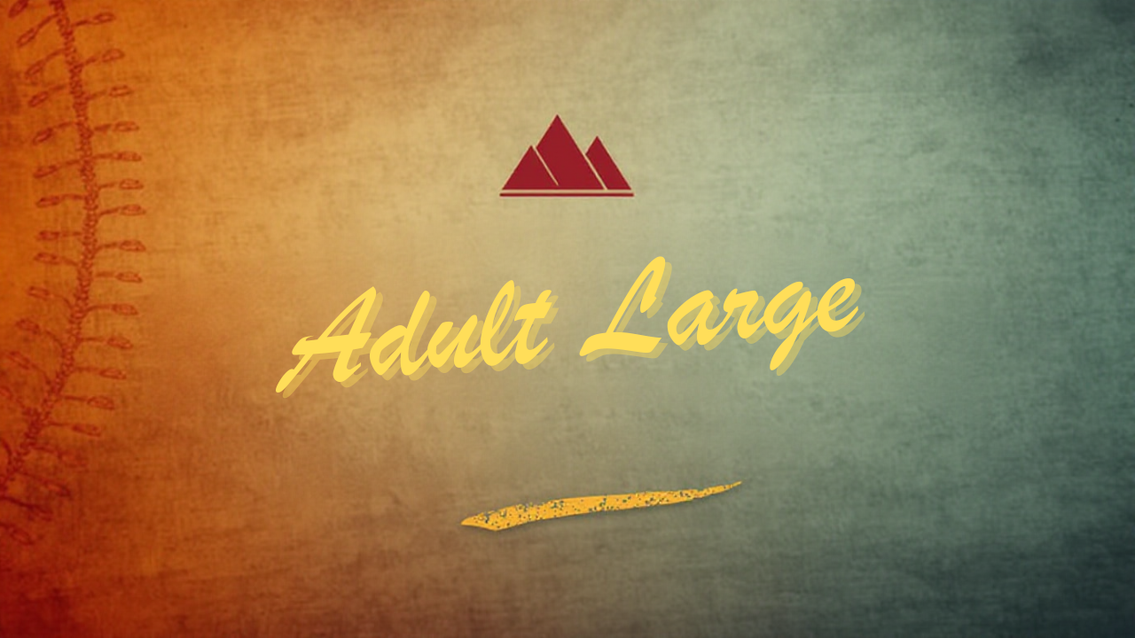 Adult Large Baseball Shirts