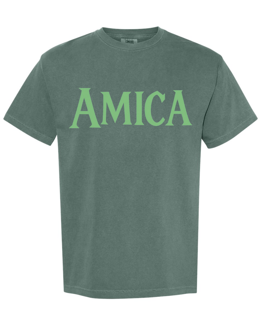 Brock's Gap Amica House