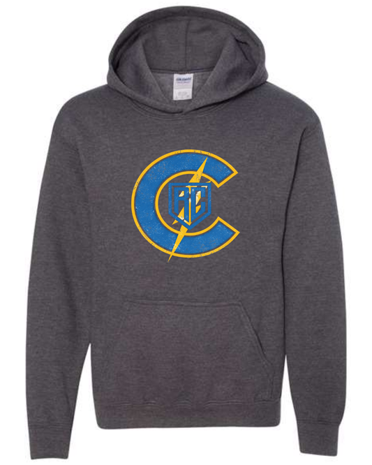 *New for 2026* Vintage Hoodies